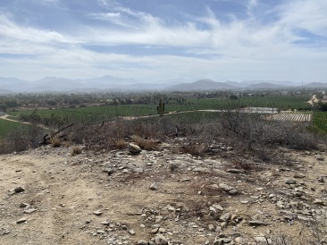 2021-04-11-Los-Cabos-Cubos-MX-03.JPG