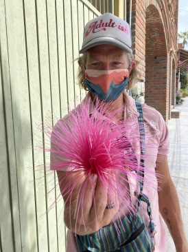 2021-04-11-Los-Cabos-Cubos-MX-16-Justin-pink-flower.JPG