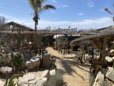 2021-04-11-Los-Cabos-Cubos-MX-25-Coyote-Canyon.JPG