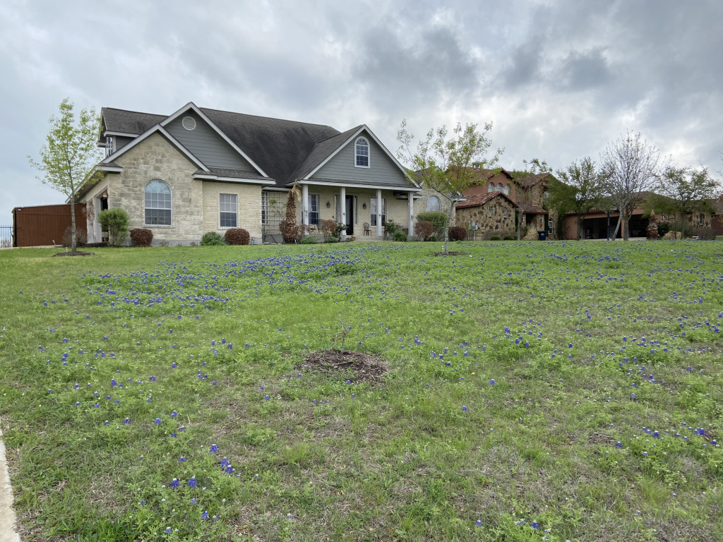 2021/04(April)/Misc/1024x768_2021-04-03-bluebonnets.jpg