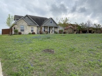 2021/04(April)/Misc/2021-04-03-bluebonnets.jpg