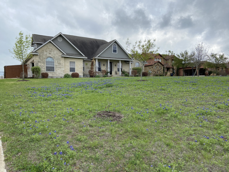 2021/04(April)/Misc/2021-04-03-bluebonnets.jpg