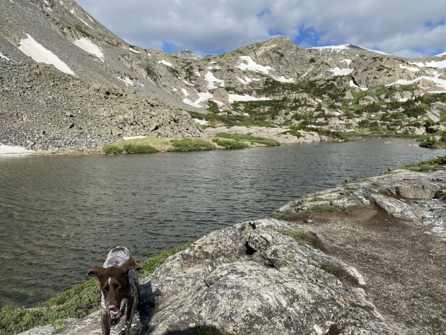 2021-06-25-AdrianaGraf-McCullough-Gultch-Hike-11-Blaze.jpg