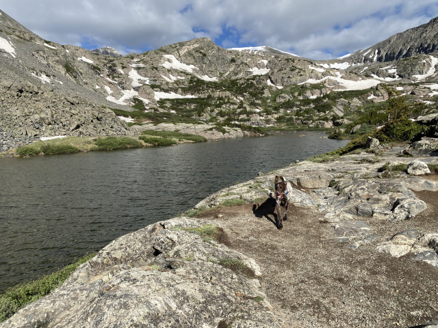 2021-06-25-AdrianaGraf-McCullough-Gultch-Hike-12-Blaze.jpg