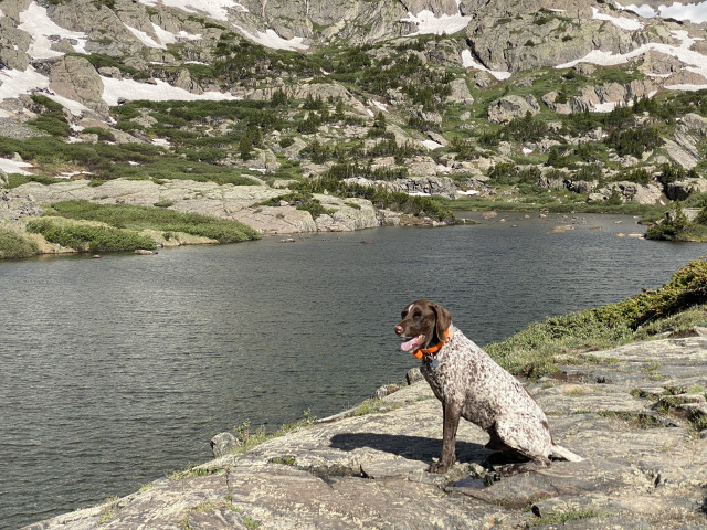 2021-06-25-AdrianaGraf-McCullough-Gultch-Hike-15-Blaze.jpg