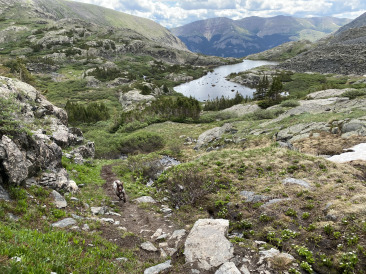 2021-06-25-AdrianaGraf-McCullough-Gultch-Hike-27-Blaze.jpg