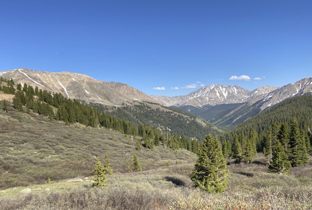 2021-06-11-Aspen-05.jpg