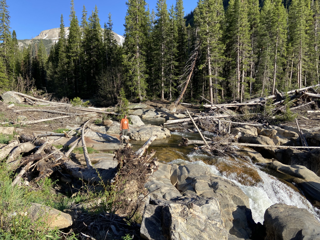 2021-06-11-Aspen-40-Lincoln-Gultch-Primitive-Camping-Travis-Blaze.jpg