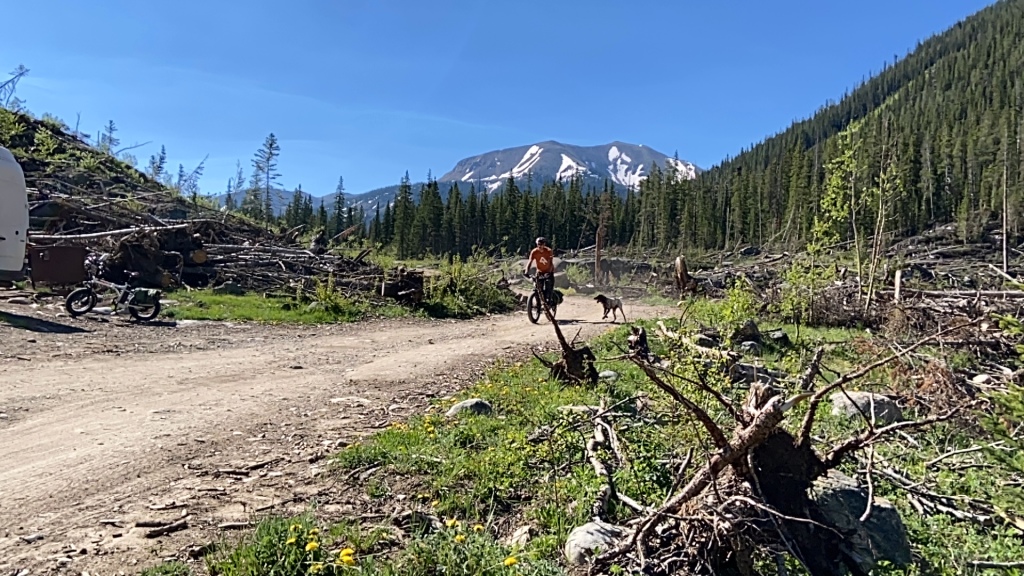 2021-06-11-Aspen-70-Lincoln-Gultch-Primitive-Camping-Travis-Blaze.JPG