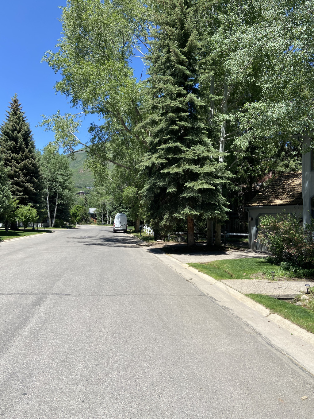 2021-06-12-Aspen-24.jpg