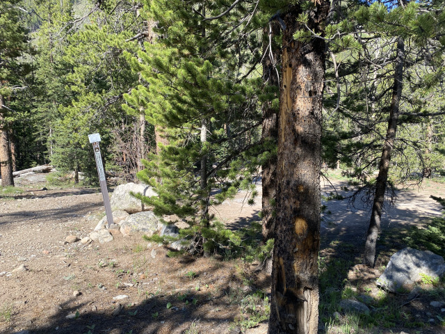 2021-06-11-Aspen-63-Lincoln-Gultch-Primitive-Camping-site.jpg