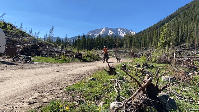 2021-06-11-Aspen-70-Lincoln-Gultch-Primitive-Camping-Travis-Blaze.JPG