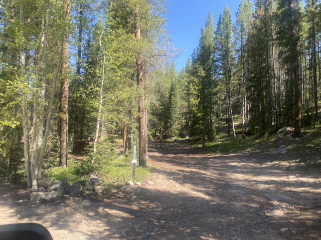 2021-06-11-Aspen-75-Lincoln-Gultch-Primitive-Camping-site.jpg