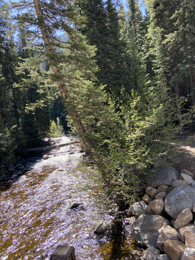 2021-06-11-Aspen-82-Lincoln-Gultch-Primitive-Camping.jpg
