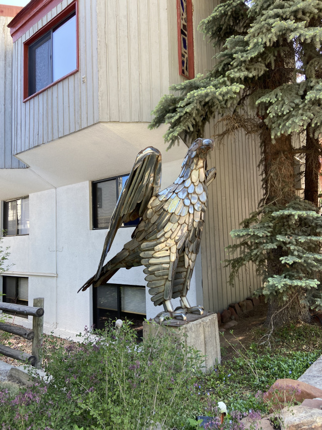 2021-06-12-Aspen-06-Eagle.jpg