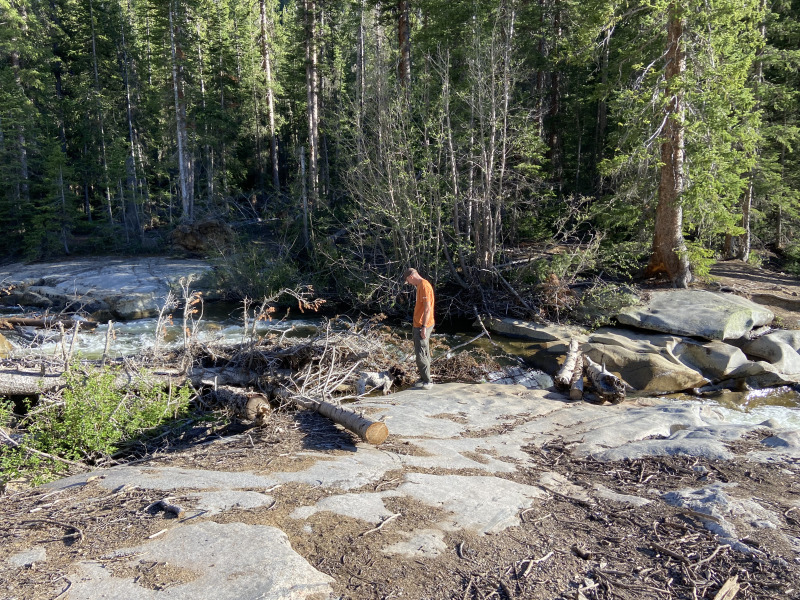 2021-06-11-Aspen-35-Lincoln-Gultch-Primitive-Camping-Travis-Blaze.jpg