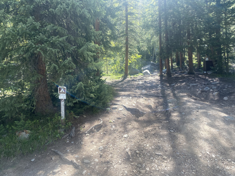 2021-06-11-Aspen-77-Lincoln-Gultch-Primitive-Camping-site.jpg