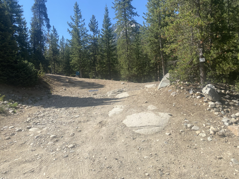 2021-06-11-Aspen-78-Lincoln-Gultch-Primitive-Camping-site.jpg