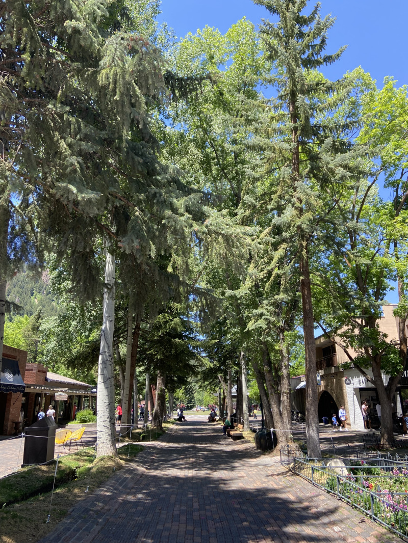 2021-06-12-Aspen-17.jpg