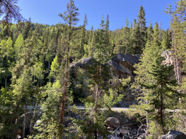 2021-06-11-Aspen-25-Lincoln-Gultch-Primitive-Camping.jpg