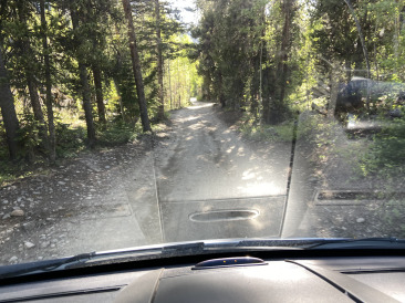 2021-06-11-Aspen-27-Lincoln-Gultch-Primitive-Camping.jpg