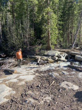 2021-06-11-Aspen-36-Lincoln-Gultch-Primitive-Camping-Travis-Blaze.jpg