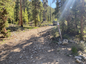 2021-06-11-Aspen-51-Lincoln-Gultch-Primitive-Camping-site.jpg