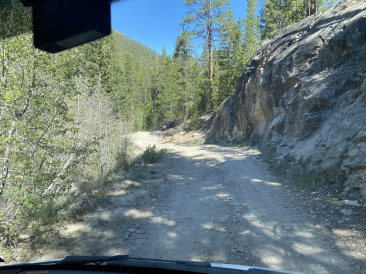 2021-06-11-Aspen-73-Lincoln-Gultch-Primitive-Camping-Moose.jpg