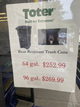 Bear-Trash-Can-1.jpg