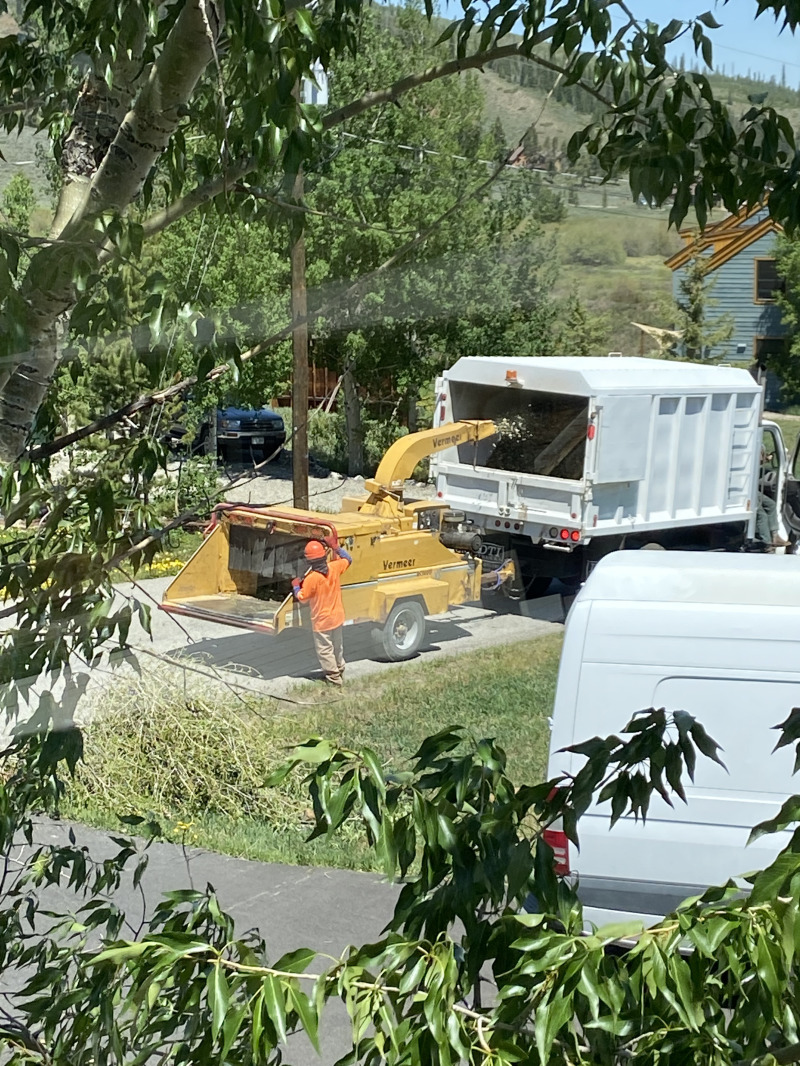 2021/06(June)/Breckenridge-Move/800x600_2021-06-14-Move-1-Tree-trim-mulchers.jpg