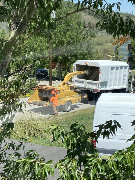 2021-06-14-Move-1-Tree-trim-mulchers.jpg