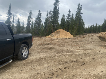 2021-06-30-Move-1-Mulch.jpg