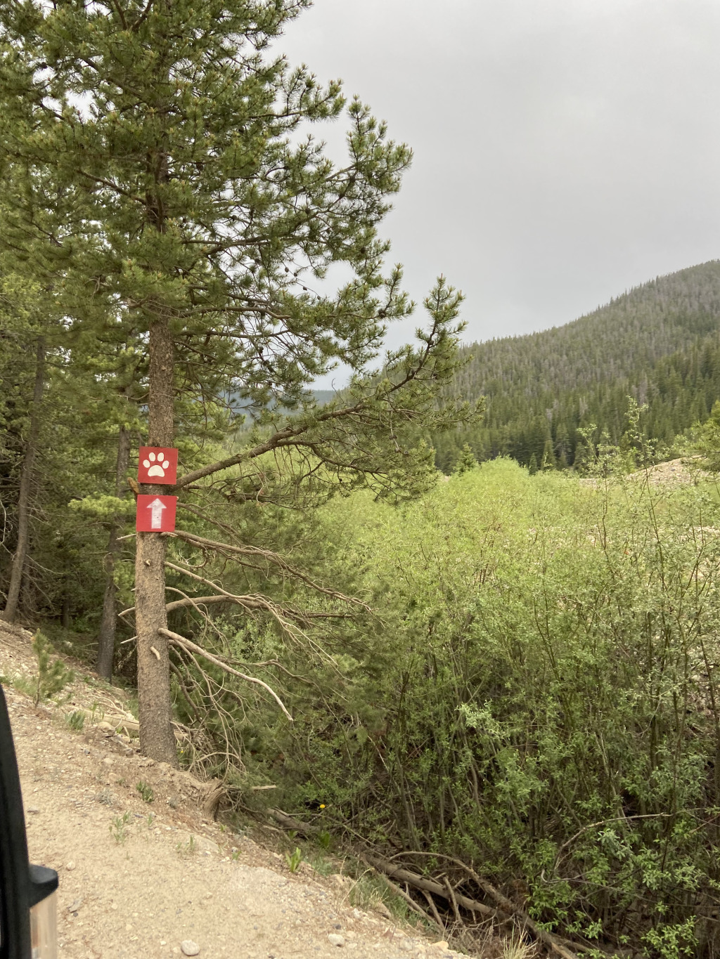 2021-06-18-Breckenridge-02.jpg