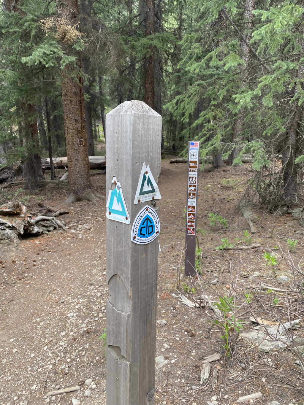 2021-06-18-Breckenridge-08-CDT-CT-marker.jpg