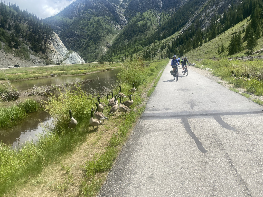 2021-06-27-Breckenridge-06-Suzi-Geese-Bike-Trail-near-Copper-Mountain.jpg