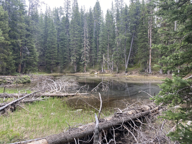 2021-06-18-Breckenridge-14.jpg