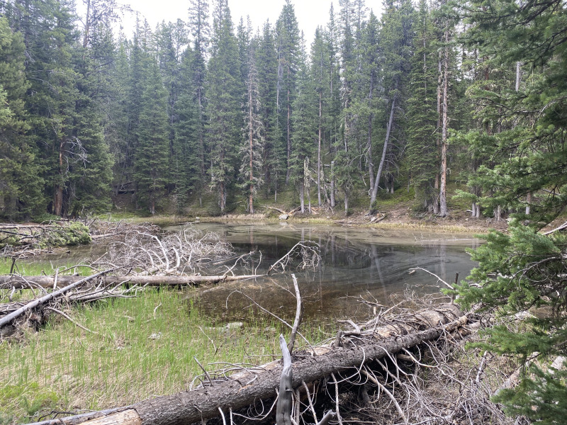 2021-06-18-Breckenridge-14.jpg