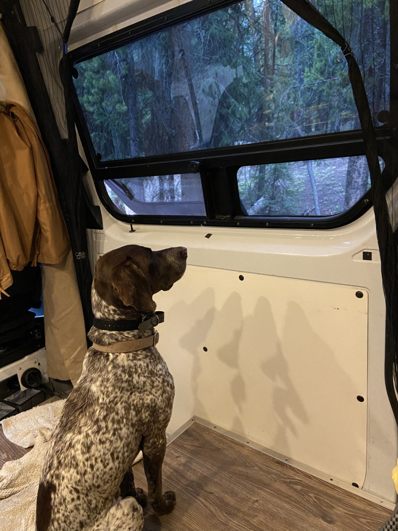 2021-06-18-Breckenridge-18-Blaze-waiting-in-Sprinter.jpg
