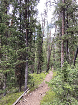 2021-06-18-Breckenridge-15.jpg