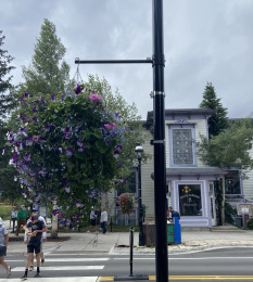 2021-06-26-Breckenridge-10-flower-pot.jpg