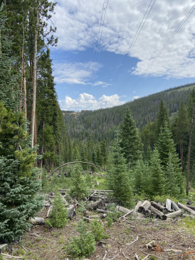 2021-07-17-Colorado-07-Gold-Mine-Hike.jpg