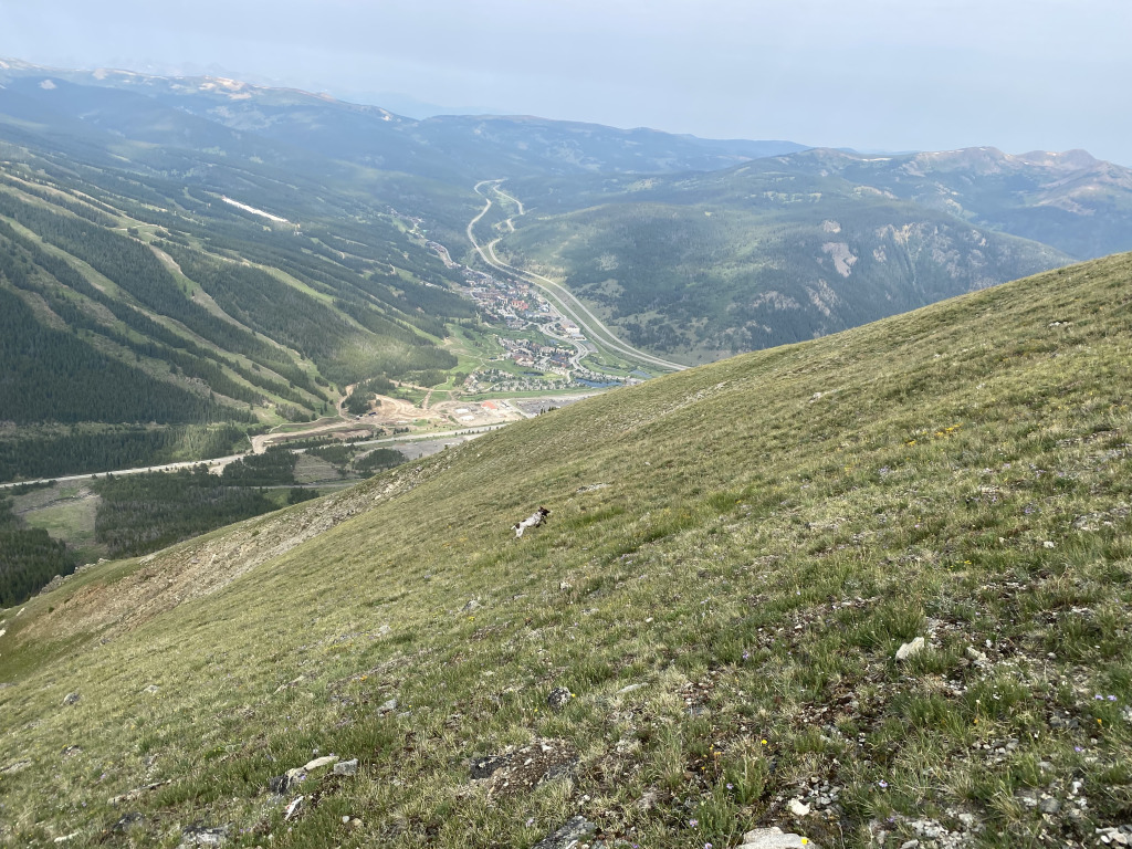 2021/07(July)/Colorado-Trail-with-Carl/1024x768_2021-07-25-Colorado-Trail-16-Segment7-Blaze.jpg