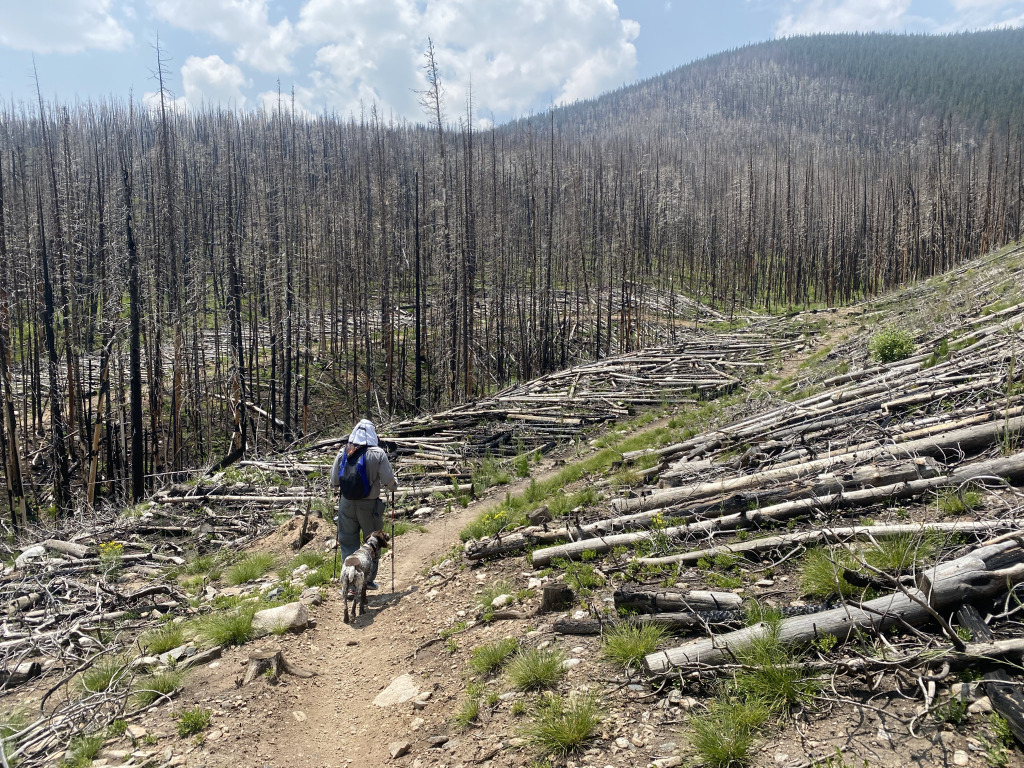 2021/07(July)/Colorado-Trail-with-Carl/1024x768_2021-07-25-Colorado-Trail-32-Segment7-Carl.jpg