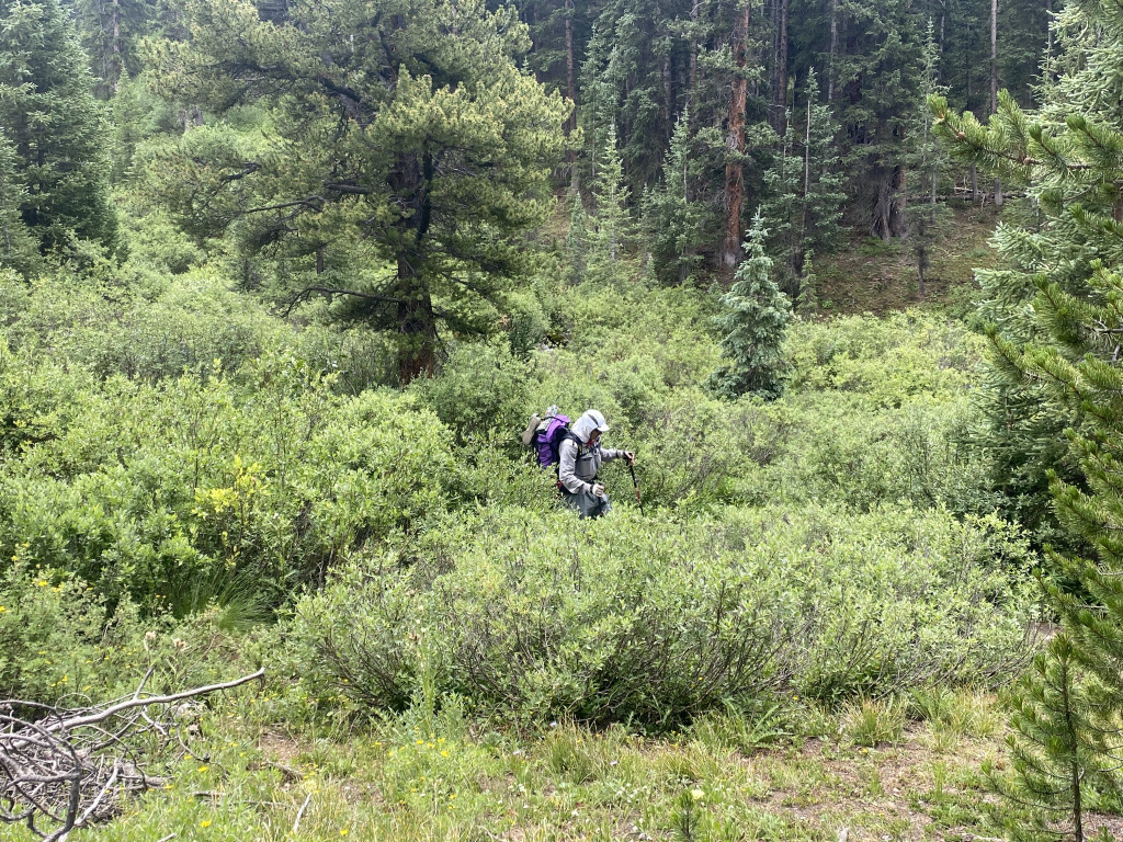 2021-07-26-Colorado-Trail-39-Segment8-Carl.jpg