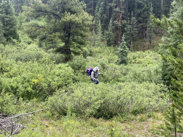 2021-07-26-Colorado-Trail-39-Segment8-Carl.jpg