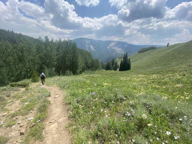 2021-07-26-Colorado-Trail-40-Segment8-Carl.jpg