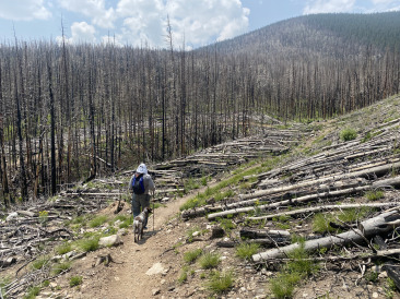 2021-07-25-Colorado-Trail-32-Segment7-Carl.jpg