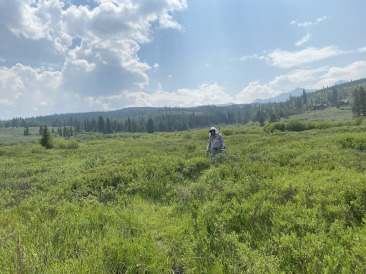 2021-07-25-Colorado-Trail-33-Segment7-Carl.jpg