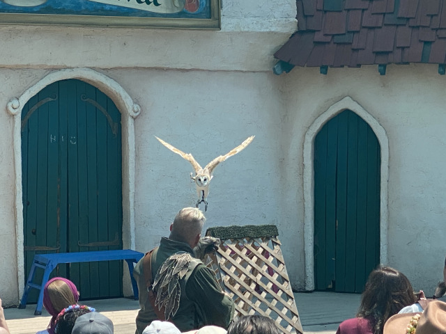 2021/07(July)/Rennaissance-Festival-Larkspur-CO/640x480_2021-07-11-Rennaissance-Fair-24.jpg