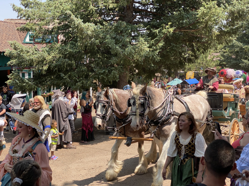2021/07(July)/Rennaissance-Festival-Larkspur-CO/800x600_2021-07-11-Rennaissance-Fair-18.jpg